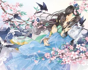每日大赛mrds.fun